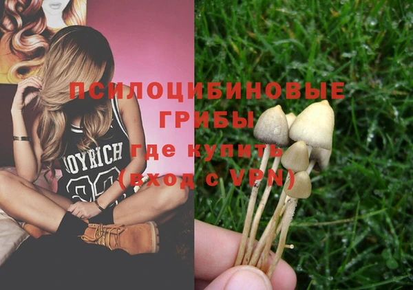 прущие крисы Арсеньев