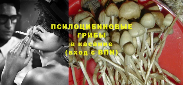 прущие крисы Арсеньев